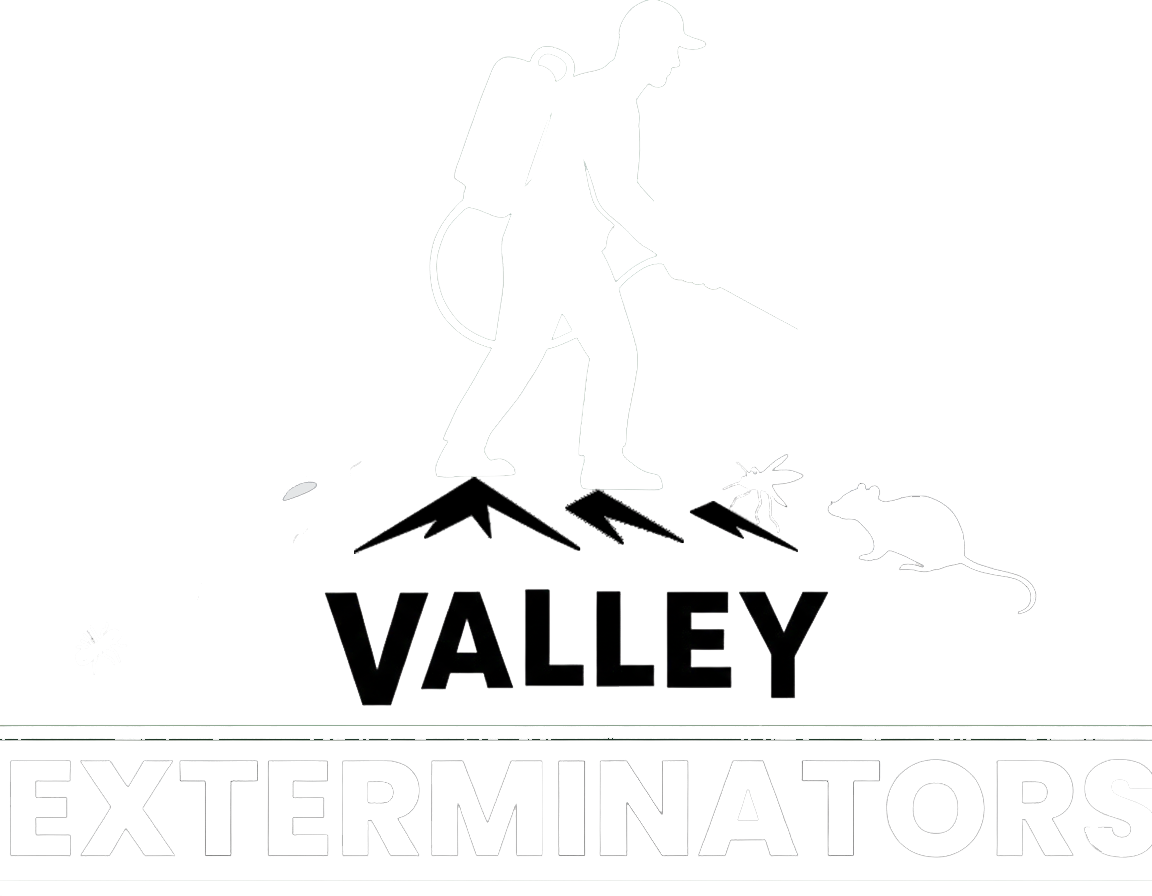 logo-white